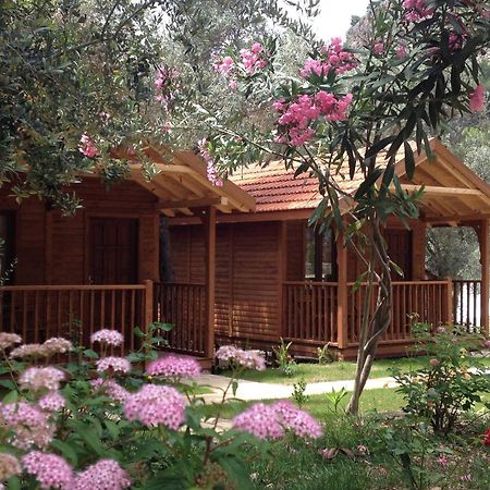 Kidrak Otel Montenegro-1 Faralya Εξωτερικό φωτογραφία