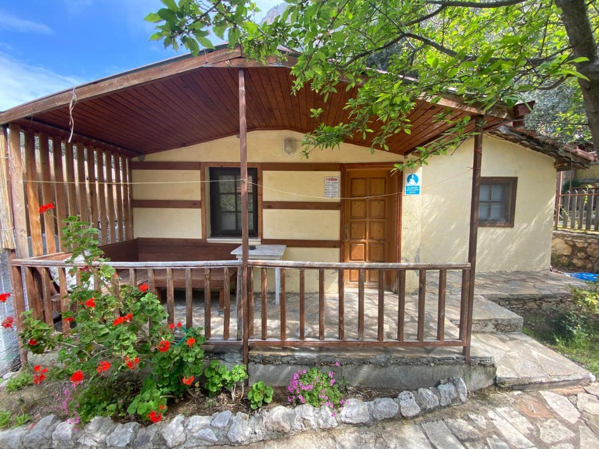 Kidrak Otel Montenegro-1 Faralya Εξωτερικό φωτογραφία