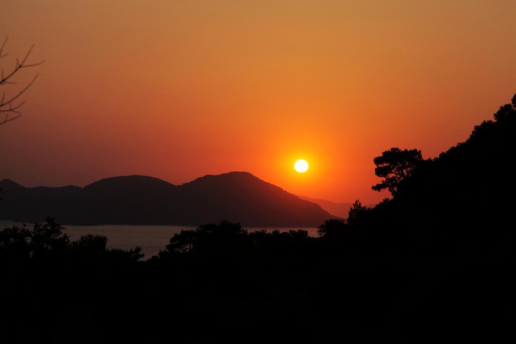 Kidrak Otel Montenegro-1 Faralya Εξωτερικό φωτογραφία